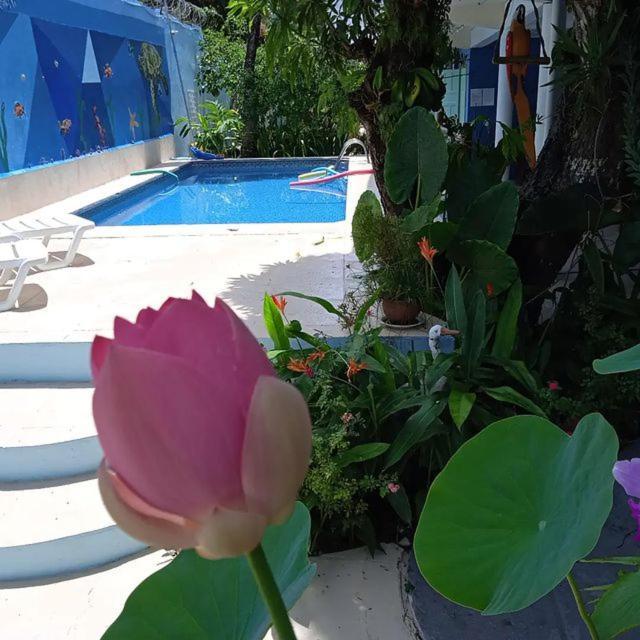 Porto Bahia Hotel Porto Seguro Dış mekan fotoğraf